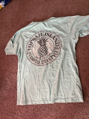 Topsail Island Coastal Lifestyle Pineapple Graphic Tee - Mint